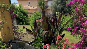 Un jardín con plantas en macetas y flores, un patio con baldosas y un edificio al fondo.