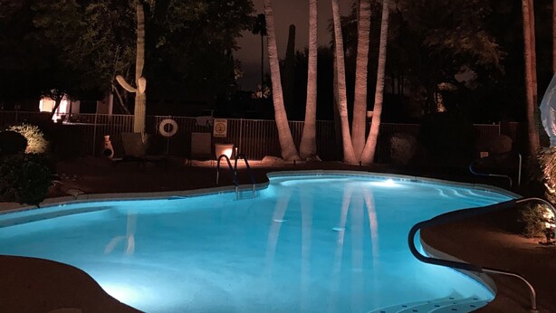 A swimming pool surrounded by tall palm trees at night. - 2 bed 2 bath condo (Fountain Hills)