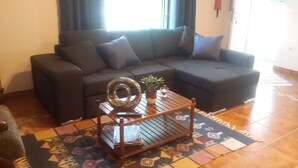 A living room with a dark-colored sofa, a wooden coffee table, and a patterned rug.