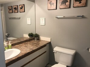 Duschwanne, Haartrockner, Handtücher, Seife