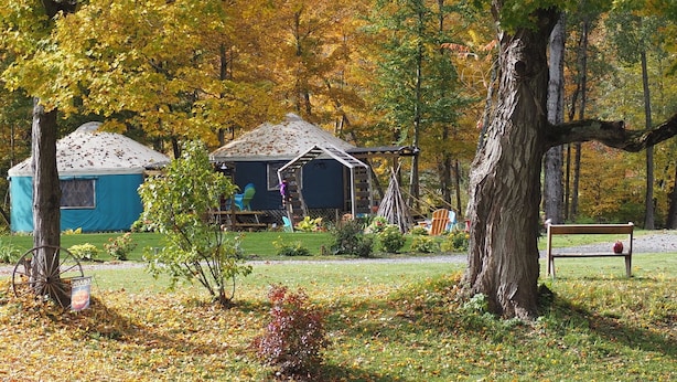 A rustic cabin with a ladder leading to a window, surrounded by autumn foliage and a grassy area with a bench.