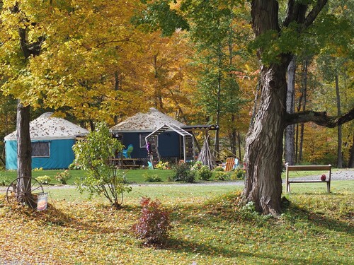 Cosy Family Yurt with Pool Access