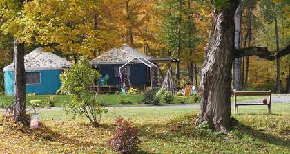 Cosy Family Yurt with Pool Access