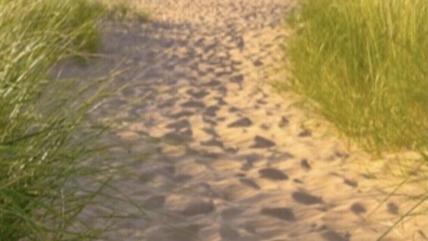 A sandy beach path leading to the ocean with grassy banks on either side.