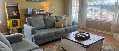 Televisión, chimenea y reproductor de DVD