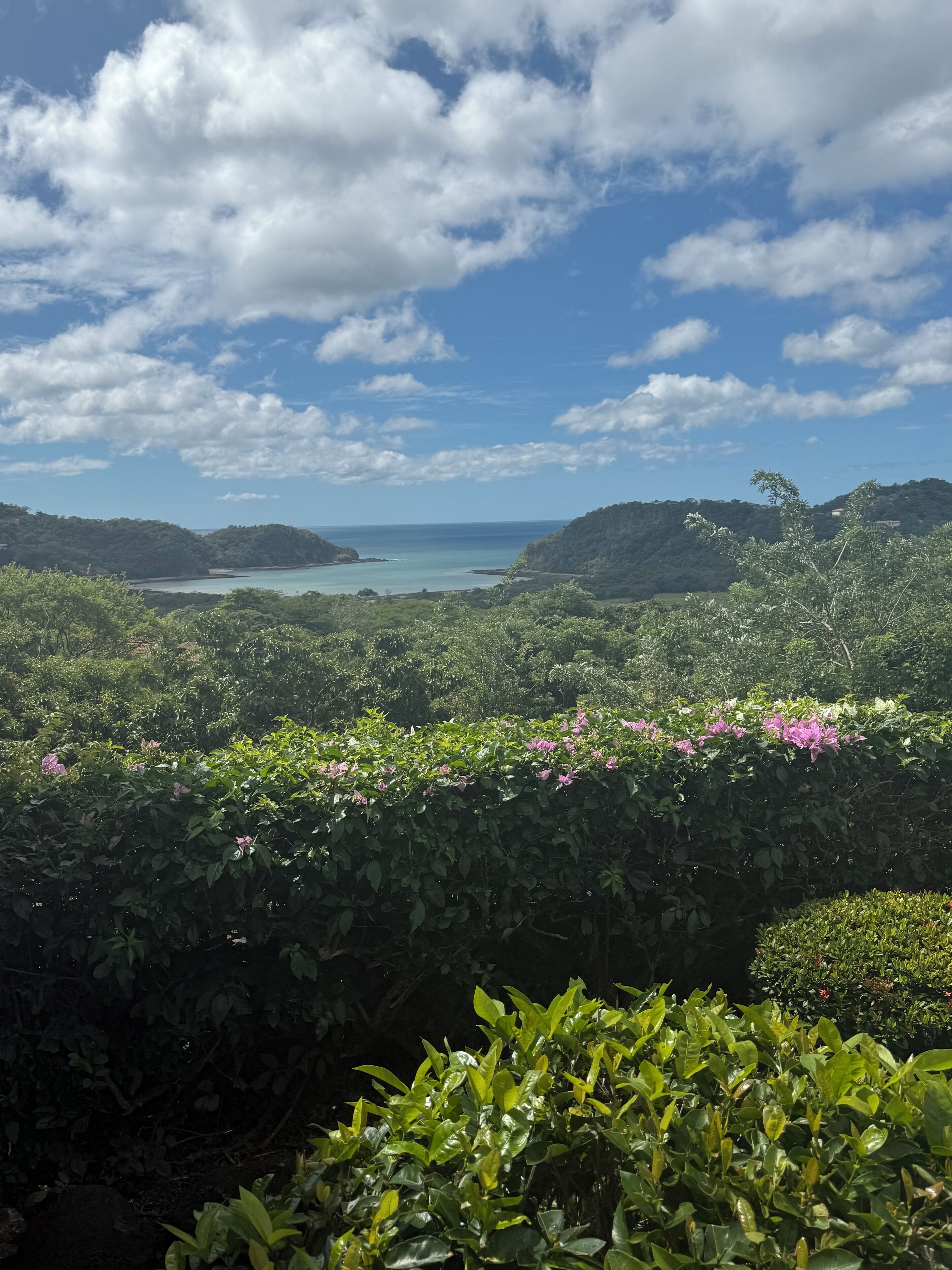 Un paysage verdoyant et luxuriant, avec une vue sur la mer et des collines en arrière-plan.