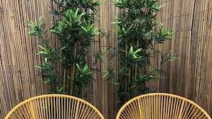 Twee gele rieten stoelen met metalen poten, geplaatst op een betonnen oppervlak voor een bamboe hek.
