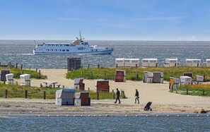 In Strandnähe, Angeln