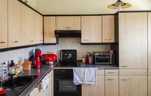 Kühlschrank, Mikrowelle, Herdplatte, Geschirrspüler