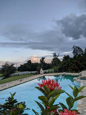 Pool - Spectacular Views! Gorgeous Home In Hilo With Pool (Hilo)