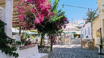 Apartamento | Área da propriedade