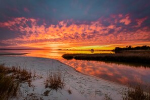 Ein Sonnenuntergang über ruhigem Wasser mit sandigem Ufer und einigen Pflanzen.