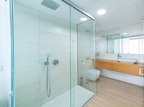 Shower, hair dryer, towels, toilet paper