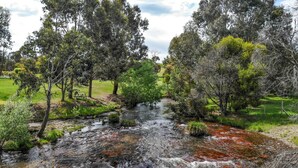 A natural landscape with a flowing stream, surrounded by trees and grassy areas. - Lodge by the River - Studio 2 (Merrijig)
