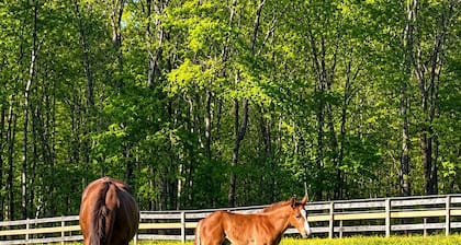 The Forest Lodge-Spacious 3BR Farm Barndo with Fire Pit on a working horse farm