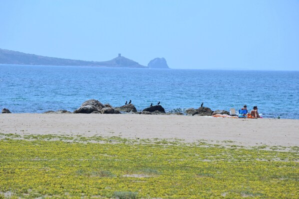 Sur la plage