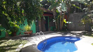 Une piscine avec un escalier en métal, entourée d’une terrasse en béton et d’un mur végétal agrémenté de plantes en pot.