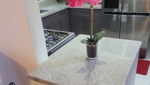 Una cocina con encimera de granito, una silla negra, una planta en maceta, un dispensador de agua y un refrigerador de acero inoxidable.