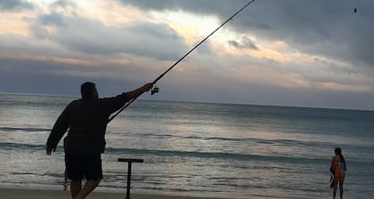 Perfect in Pataua