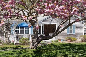 Exterior - Walk To Beaches, Main Street, and Harbor. 1BR Cottage. Quiet Area. Captain Gosnold Village 12A (Hyannis)