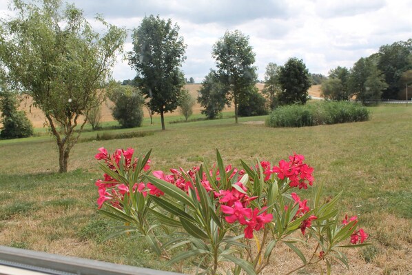 A grassy field with trees and pink flowers in the foreground.