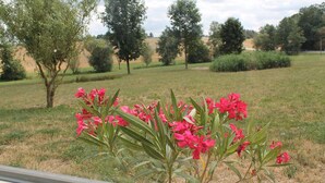 Un campo cubierto de césped con árboles y flores rosadas al frente.