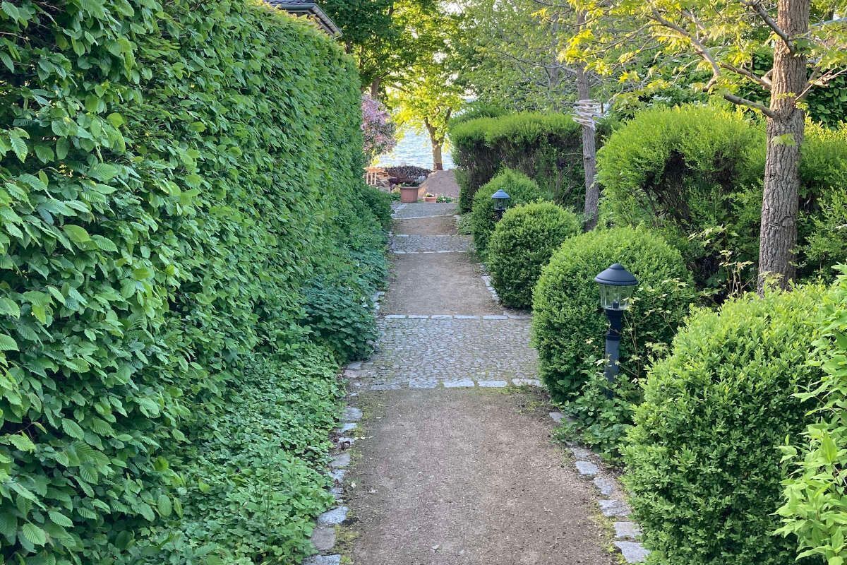 Overnattingsstedets uteområder