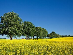 Unclassified image, 5 of 21, button