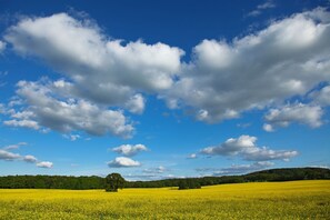 Unclassified image, 4 of 21, button