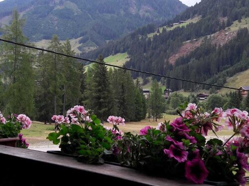 Appartement 2 - Ferienwohnungen Erlsbacher