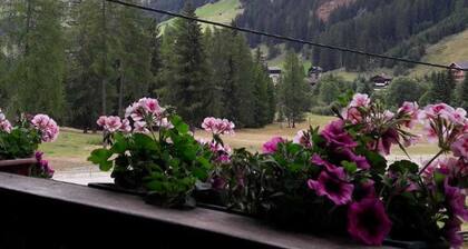 Appartement 2 - Ferienwohnungen Erlsbacher