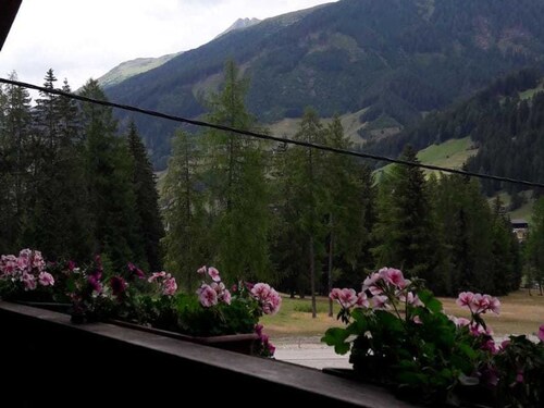 Appartement 3 - Ferienwohnungen Erlsbacher