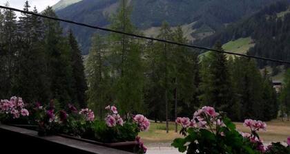 Appartement 3 - Ferienwohnungen Erlsbacher