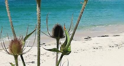 Beaches at 100 M -Sauna - Leisure, Relaxation - Family oriented, Quiet, Enclosed land. 4****