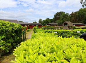 Terrain de l’hébergement 