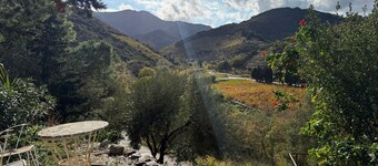 4* Detached House with Vineyard View - Terrace - Parking
