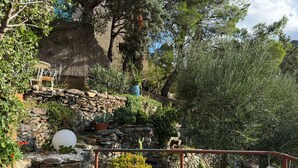 Un muro de piedra con una planta en maceta, una valla de metal y un sendero que conduce a una zona de estar.