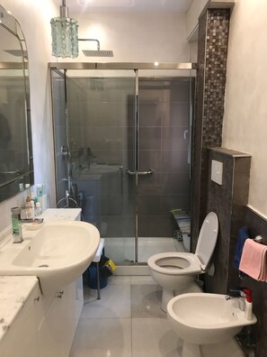 Douche, sĂšche-cheveux, bidet