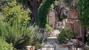 Un sendero en un jardín con diversas plantas y un árbol grande.