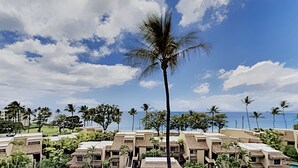 Ett semesterområde med flera byggnader i bungalowstil, palmer och en klarblå himmel.