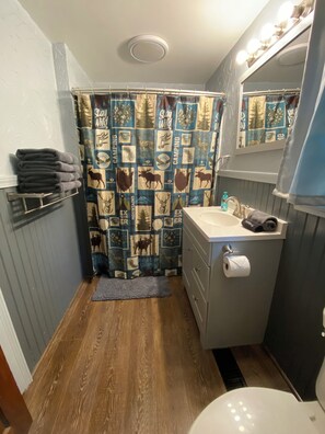 Combined shower/bathtub, hair dryer, towels