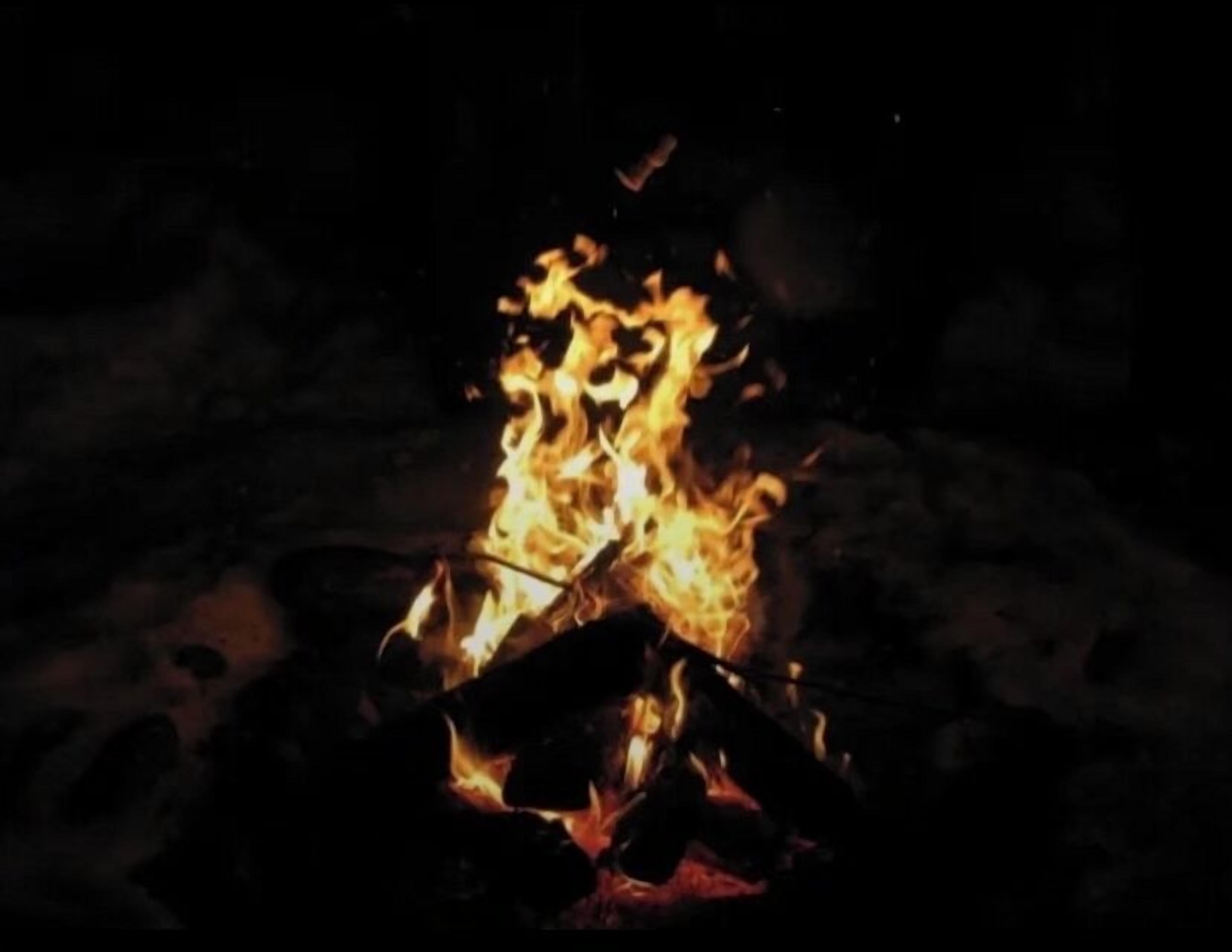 A campfire with flames.