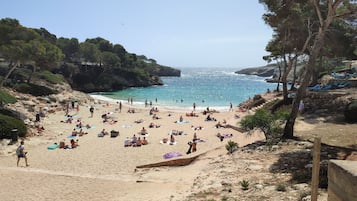 Beach nearby, sun loungers, beach towels