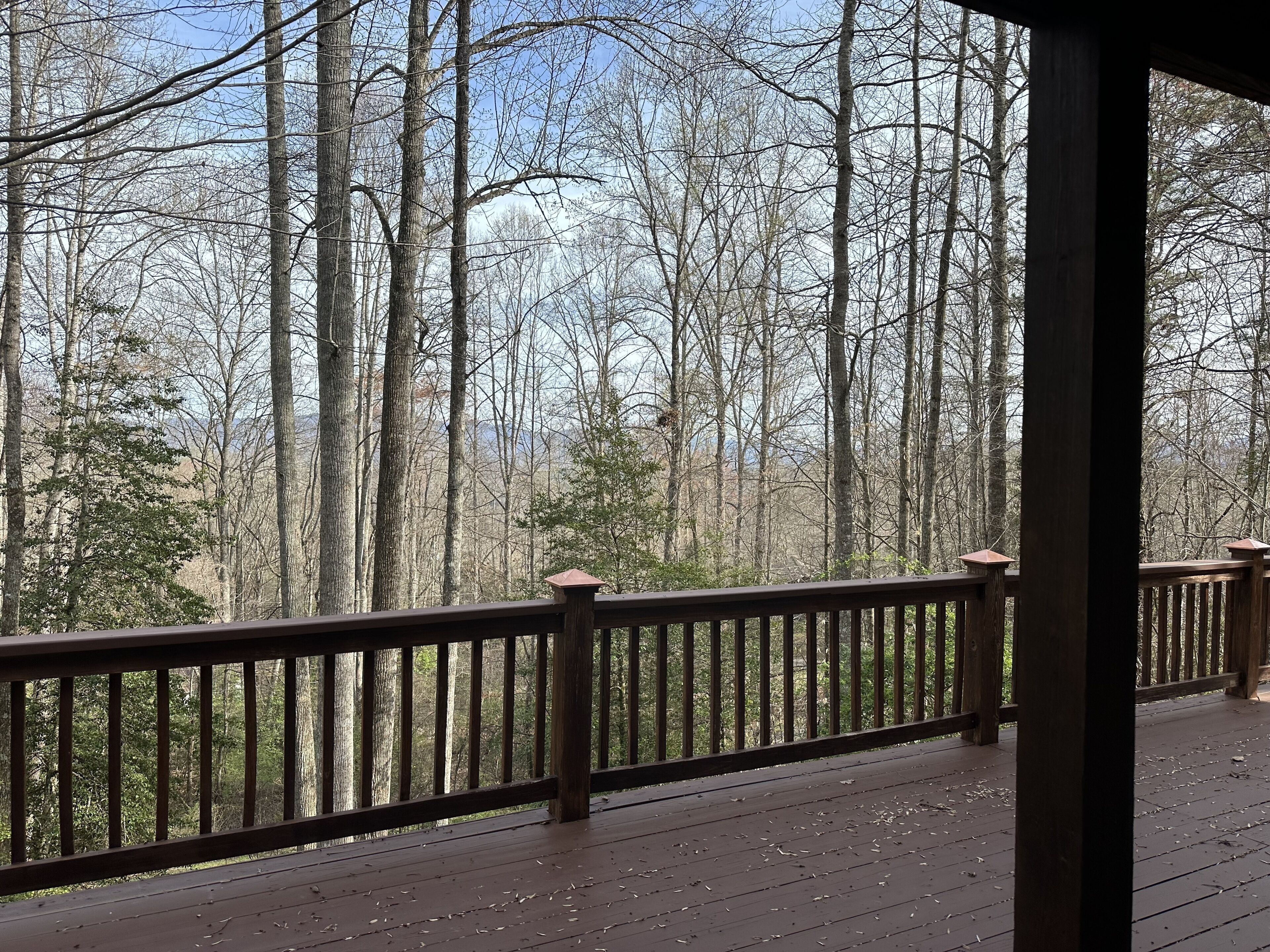 Whippoorwill's Nest in the Smoky Mountains