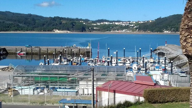 A marina with boats docked, a pier, and a building with a red roof. - Piso Sencillo, Amplio y Todas las Comodidades (O Vicedo)