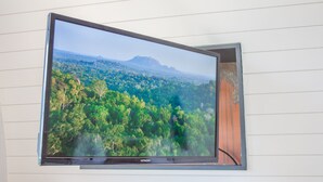 Un téléviseur fixé au mur affiche une image de paysage.