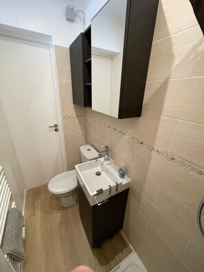 Shower, hair dryer, towels, toilet paper