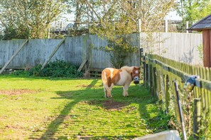 Property grounds - Channel View by Bloom Stays - sleeps 2 guests  in 1 bedroom (Folkestone)