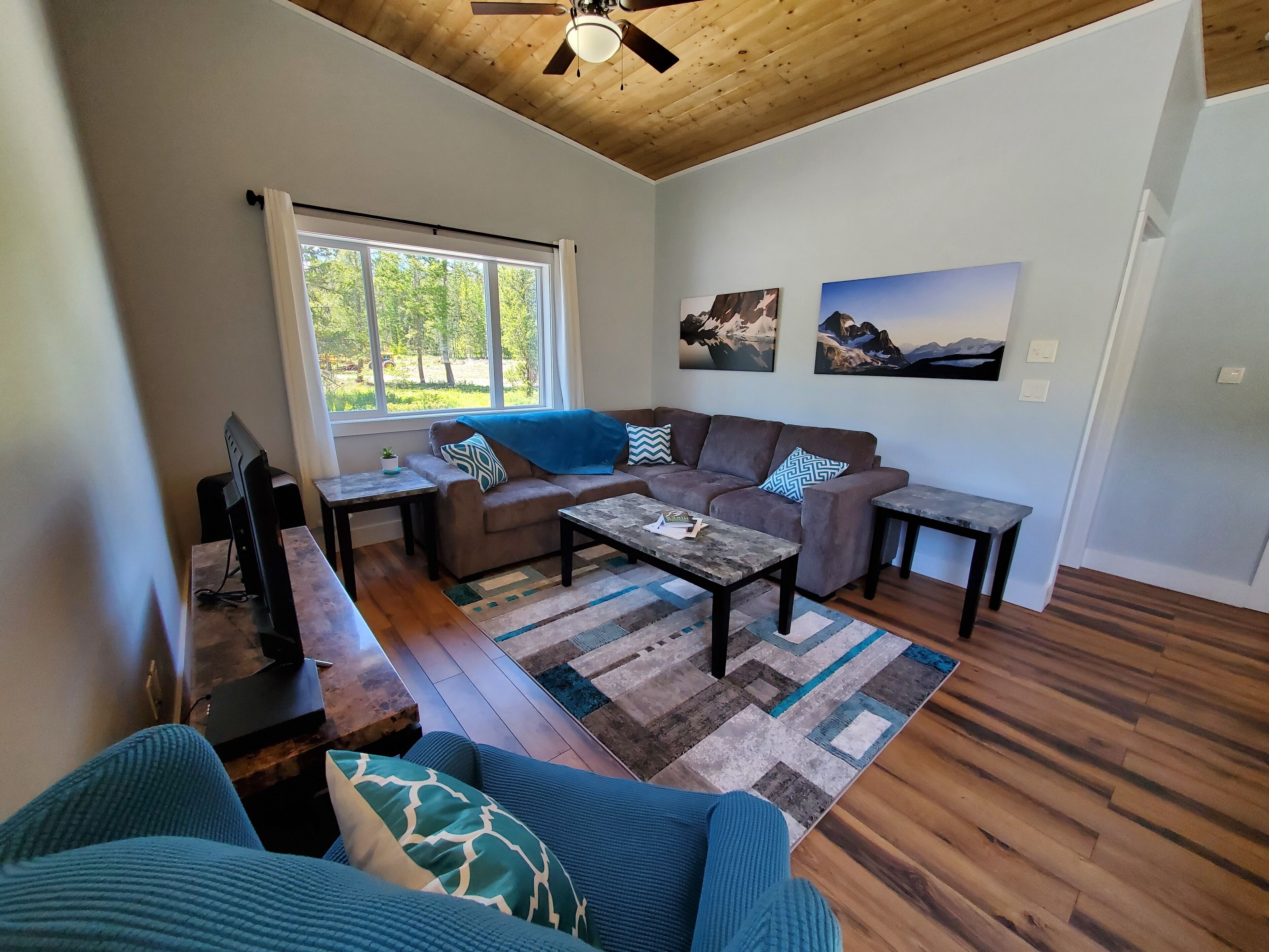 智能电视、DVD 播放器、书