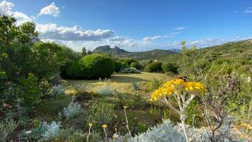 Un jardín con diversas plantas y flores, una zona de césped y montañas al fondo.